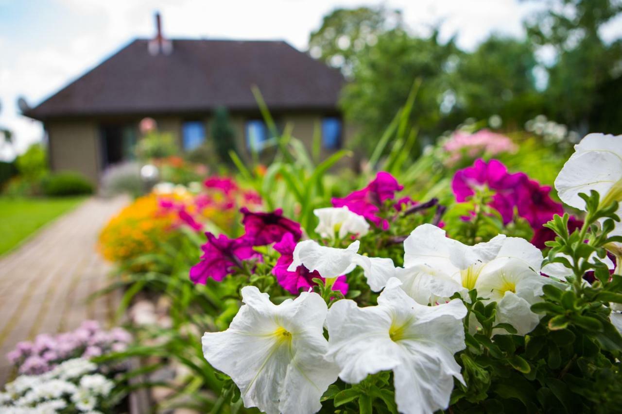 Guests House "Like Home" Sigulda Exteriör bild